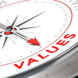 Il sistema dei valori nel no profit